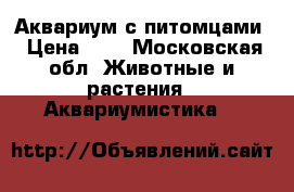 Аквариум с питомцами › Цена ­ 5 - Московская обл. Животные и растения » Аквариумистика   
